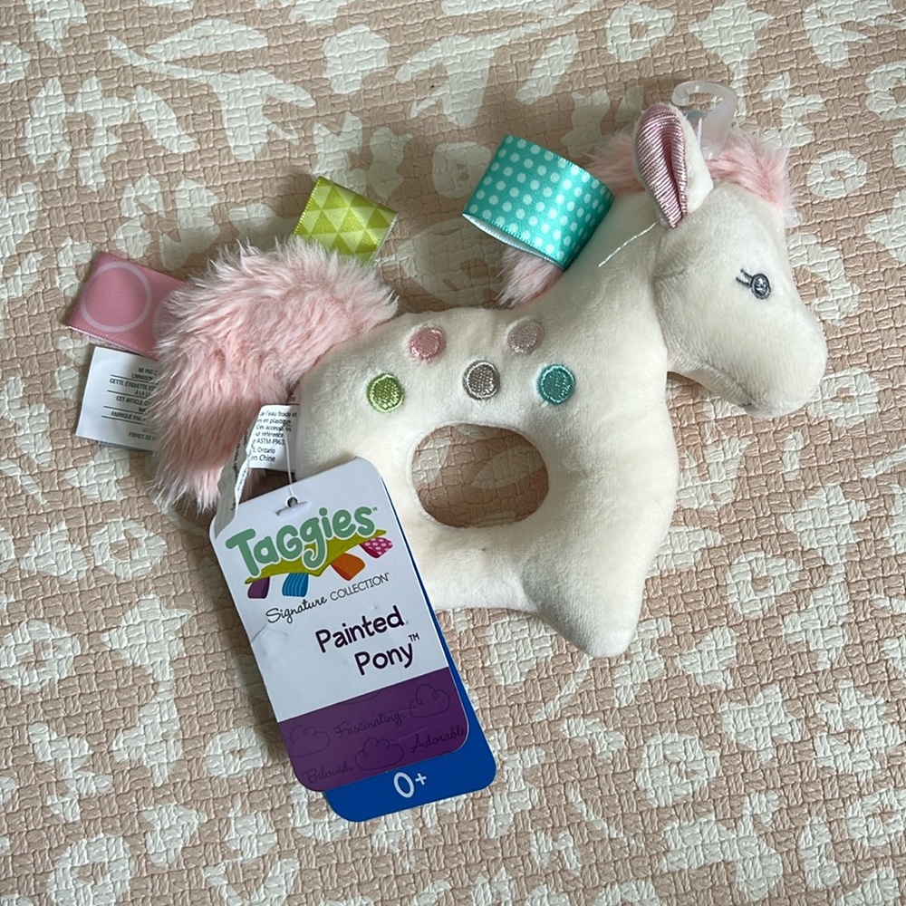 TaGgies Painted Pony